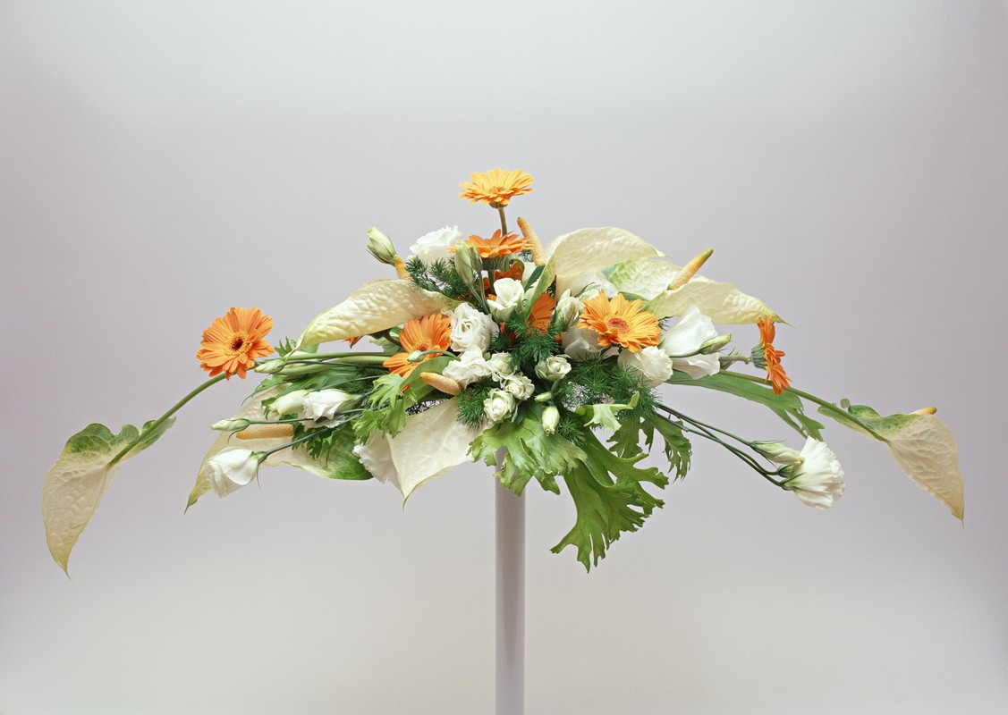 Как выбрать ускоренные, краткие флористические курсы в учебном центре, училище (пту), лицее?