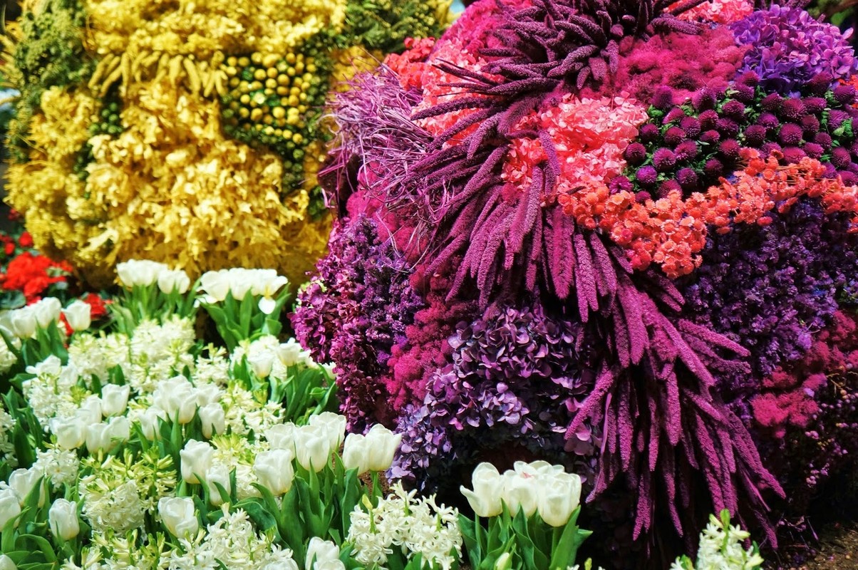 Как и где записаться в флористическую учебную студию (салон)