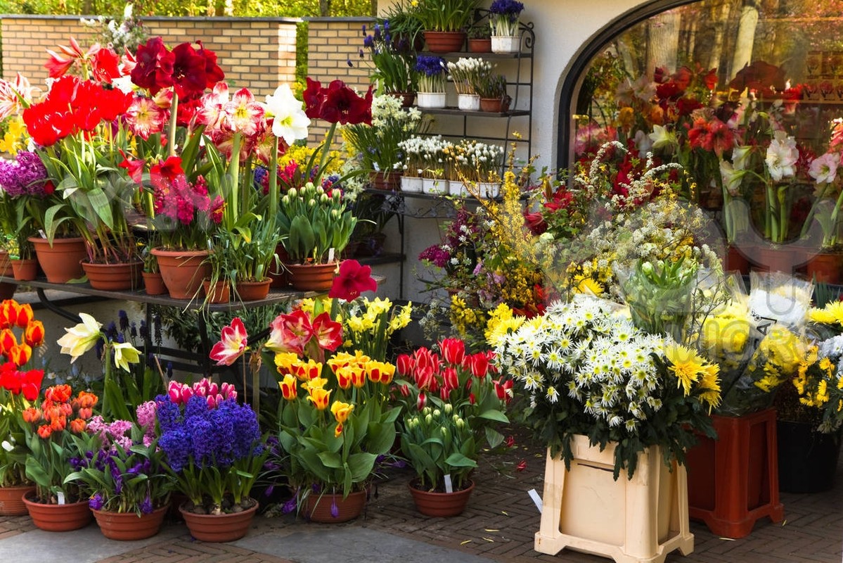 Выбираем краткосрочные, короткие флористические курсы и мастер-классы (мк), семинары и тренинги!