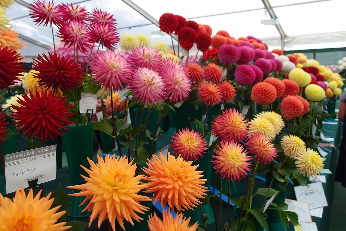 Как и где выбрать флористическую учебную студию (салон) с работой после обучение (курсов)