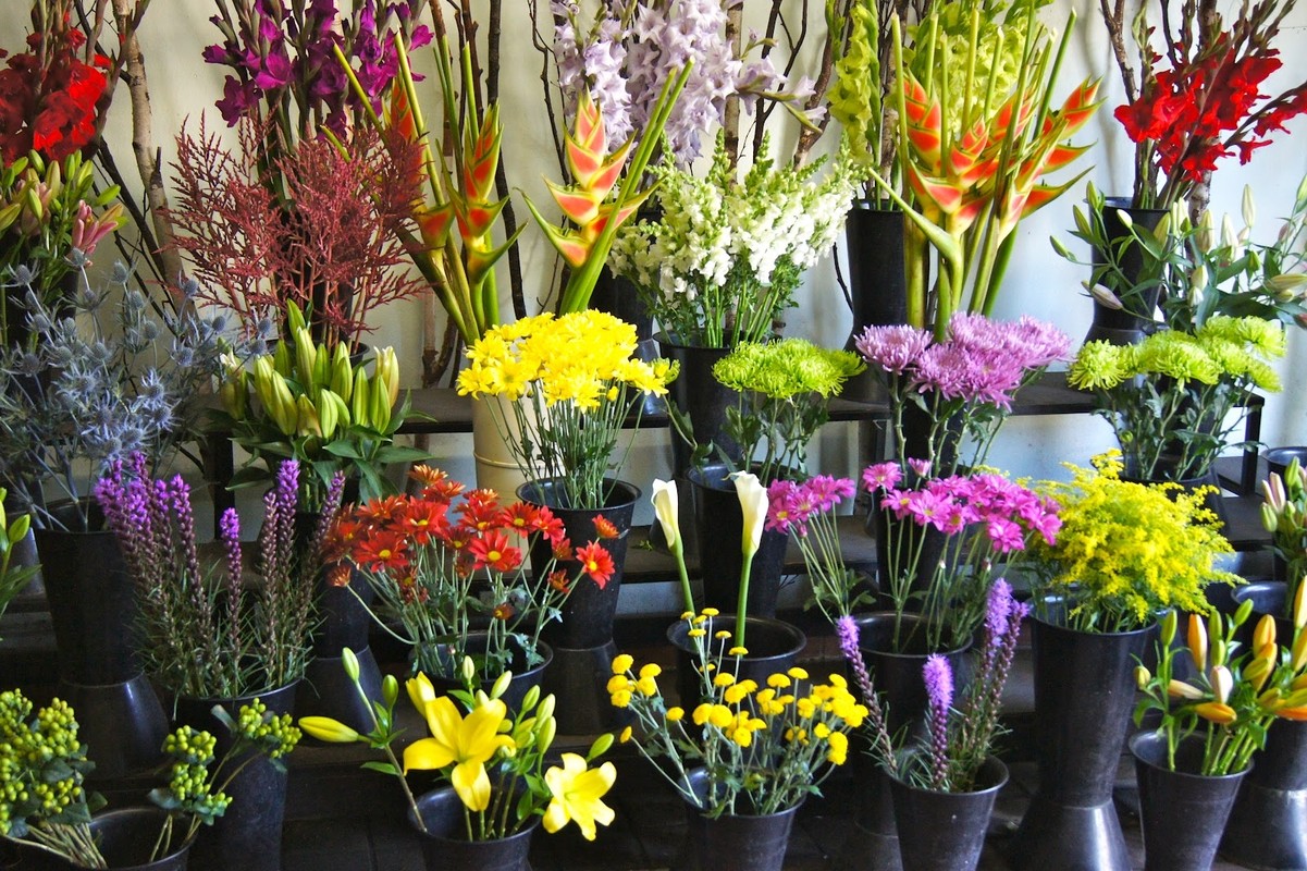 Как выбрать флористический учебный центр, колледж, техникум для взрослых?