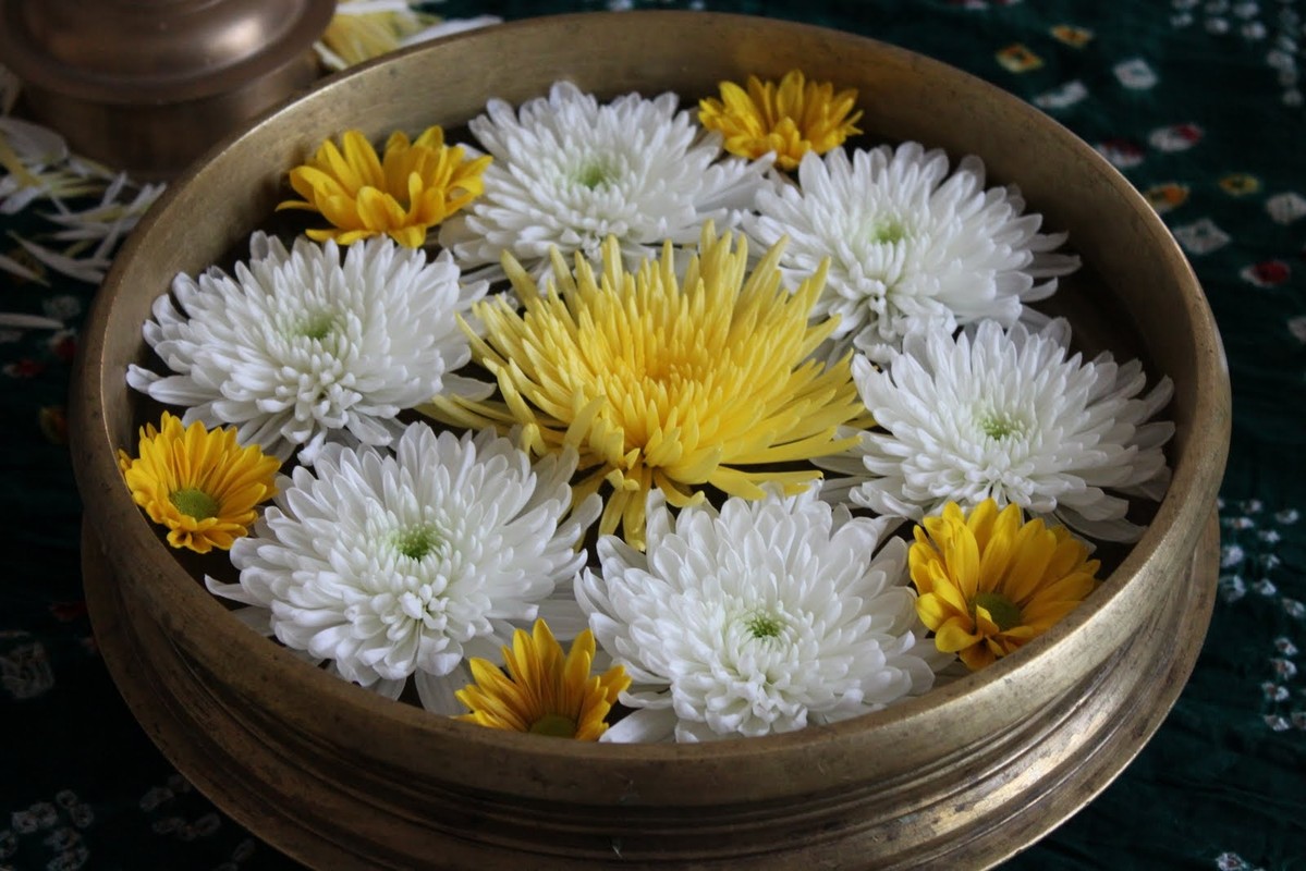 Как и где выбрать флористический курс (образование) с устройством на работу Как и где выбрать флористический курс (образование) с устройством на работу