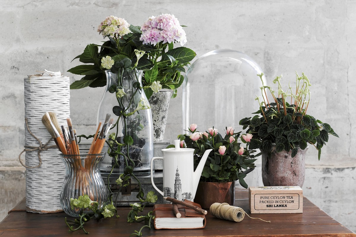 Как выбрать флористический учебный центр, колледж, техникум и какой разряд будет присвоен?