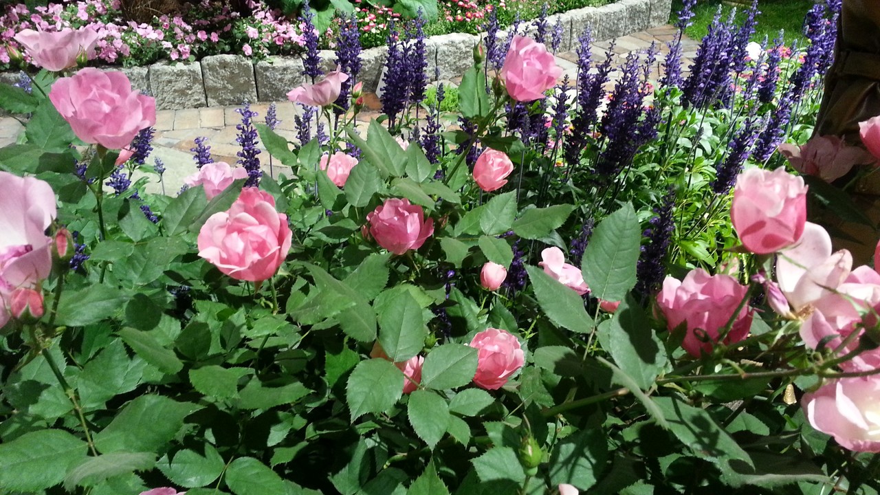 Где найти индивидуальные занятия (график) на флористических курсах в учебном центре, училище (пту), лицее? Где найти индивидуальные занятия (график) на флористических курсах в учебном центре, училище (пту), лицее?