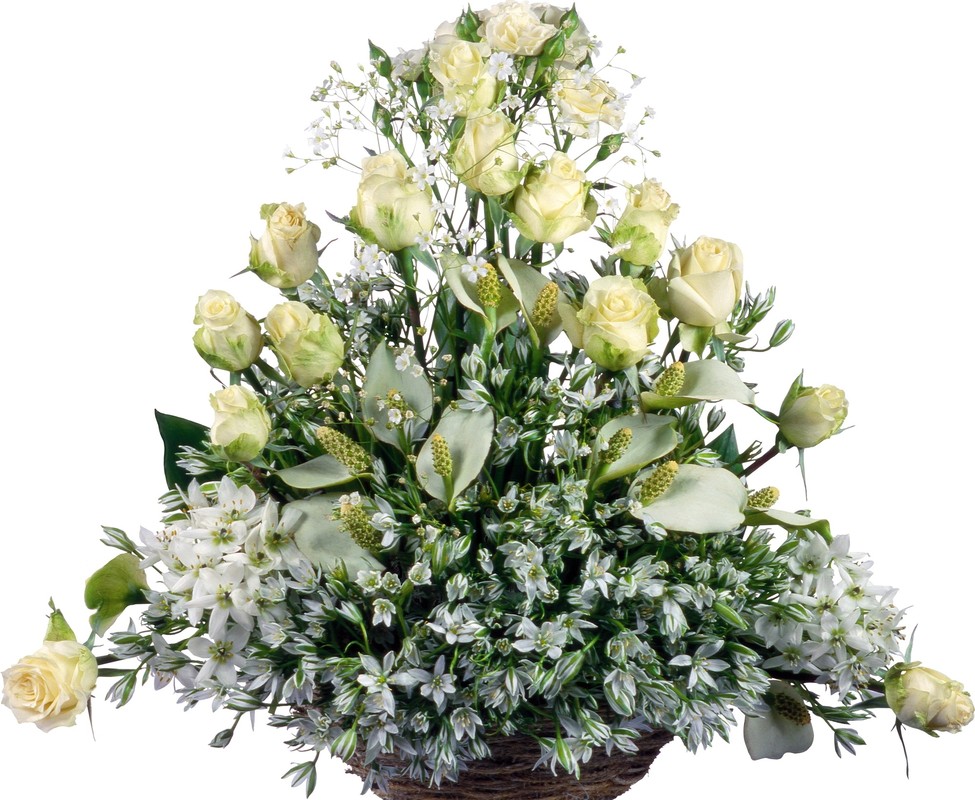 Какая стоимость на флористические курсы в лицее? Скидки и акции. Какая стоимость на флористические курсы в лицее? Скидки и акции.