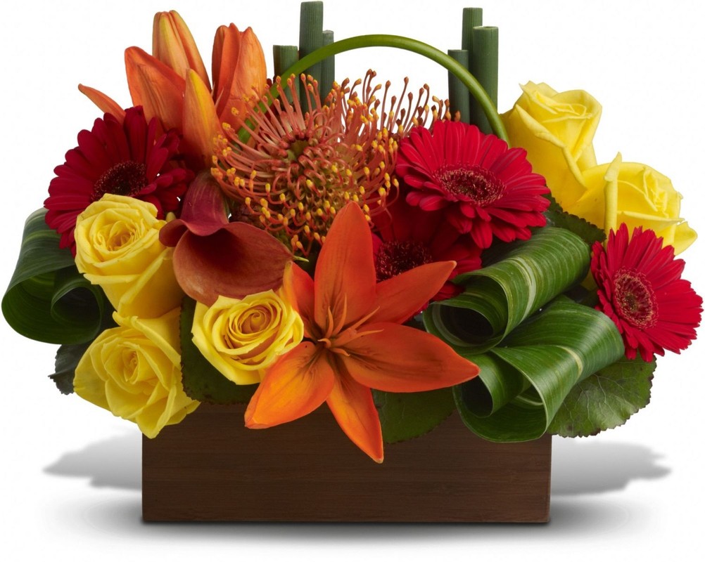 Где найти дешевые (эконом) флористические курсы в лицее? Недорого, по купону.