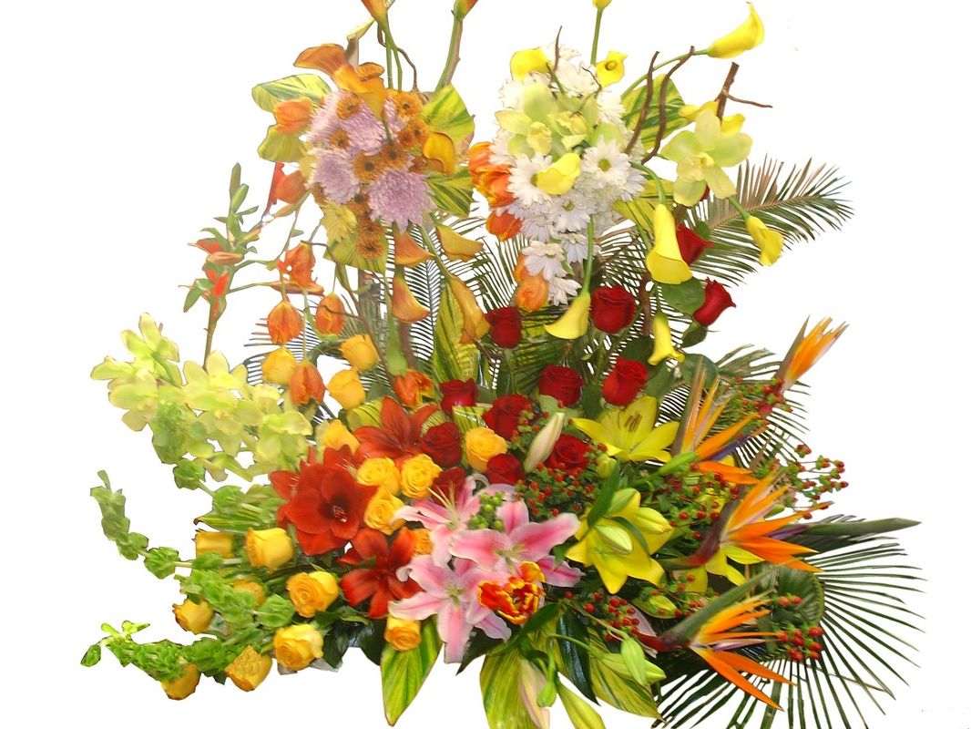 Как и где производится набор учащихся в колледж флористов