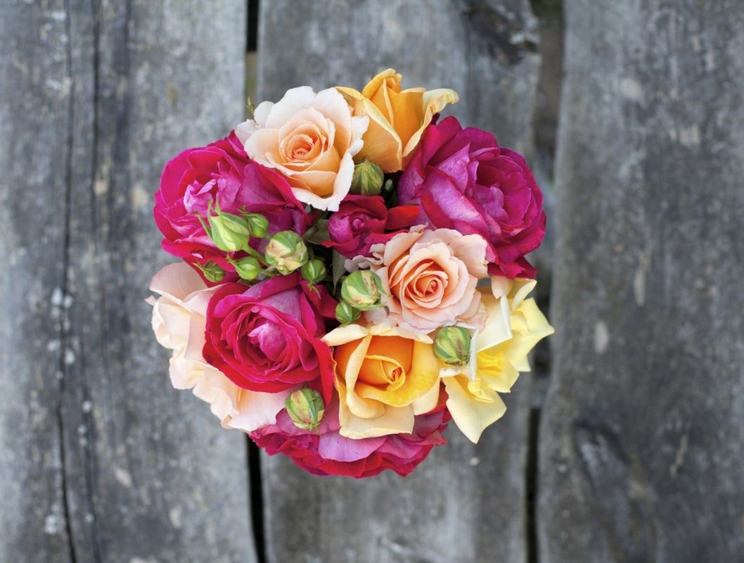 Хочешь учиться в академии на флориста? Мы дадим полную информацию Хочешь учиться в академии на флориста? Мы дадим полную информацию