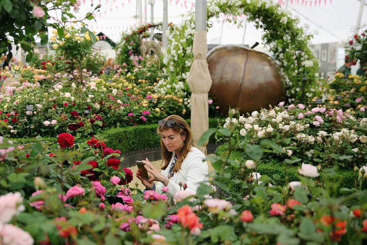 Индивидуальные курсы по флористике в СПб Индивидуальные курсы по флористике в СПб