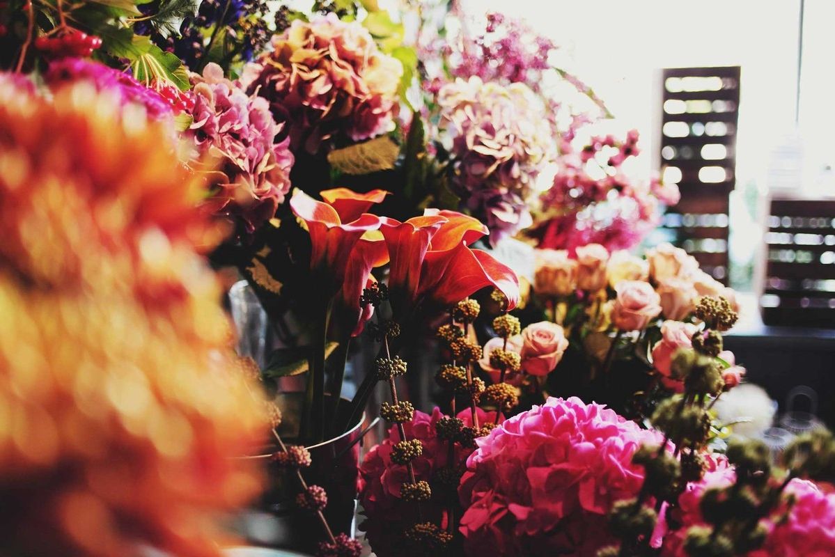 Как правильно искать и где найти лучшую школу для флористов