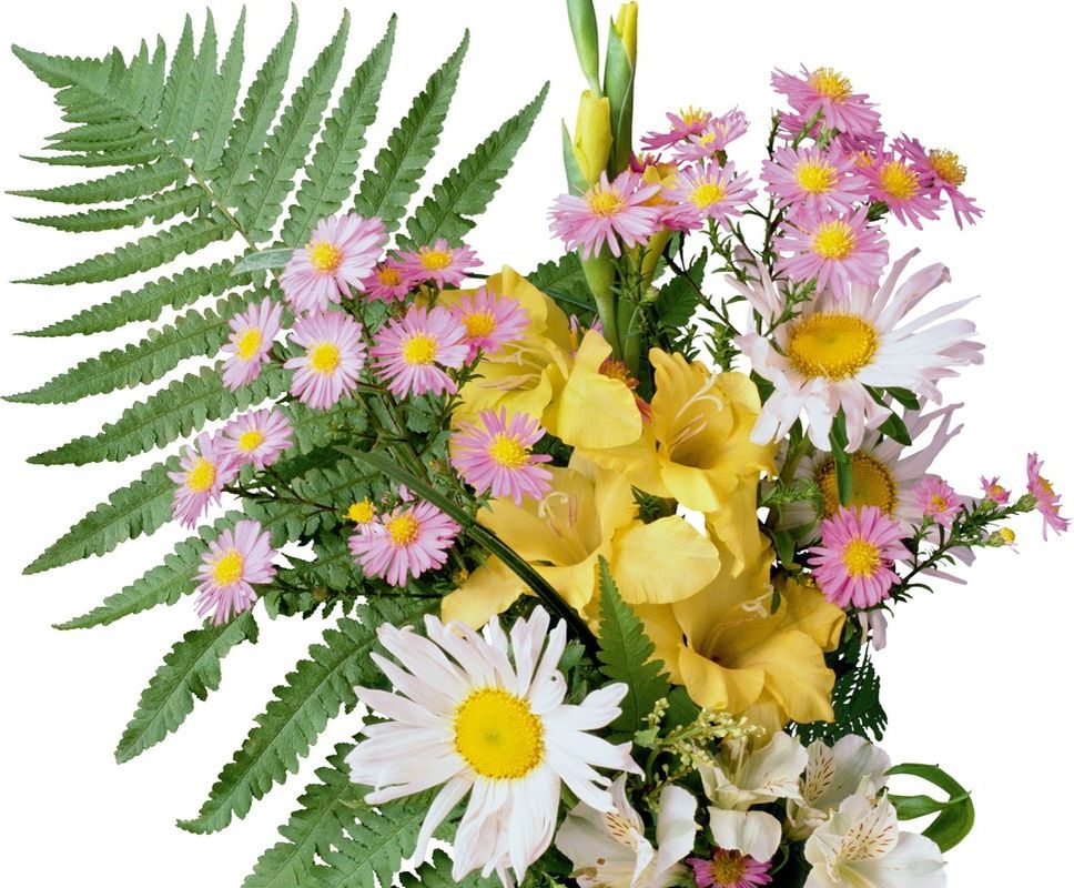 Определяемся с выбором центра, обучающего искусству флористов Определяемся с выбором центра, обучающего искусству флористов