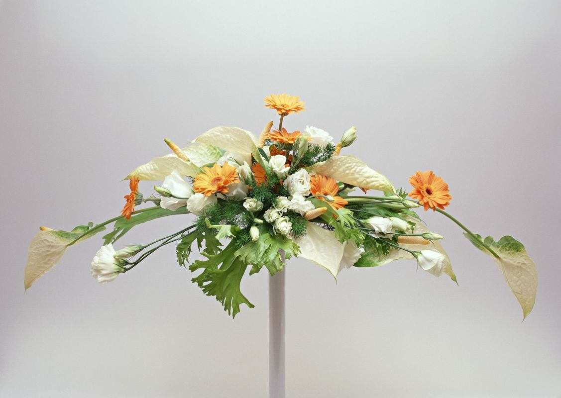 Отзывы тех кто закончил курсы обучения флористов