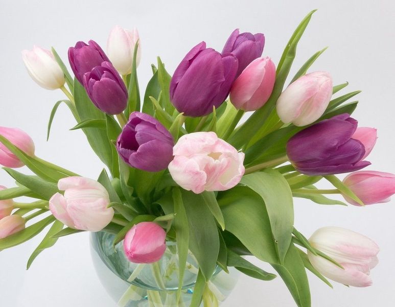 Посоветуем, где найти лучшие флористические курсы обучения Посоветуем, где найти лучшие флористические курсы обучения