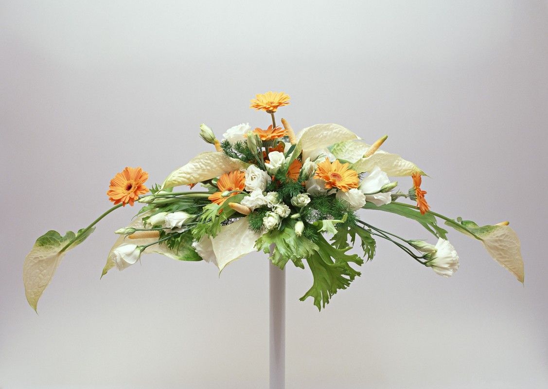 Советы по выбору учебных заведений флористики