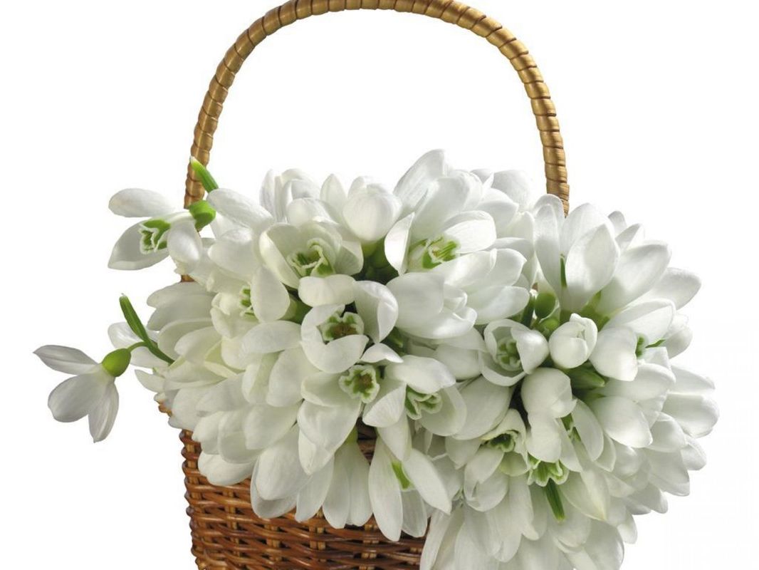 Темы мастер-классов (мк) для флористов, места их проведения