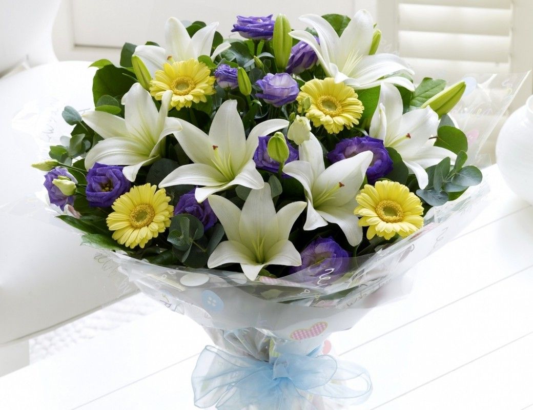 Трудоустройство гарантировано на 100%! Трудоустройство гарантировано на 100%!