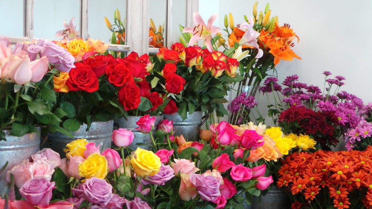 Ученик флориста Ученик флориста