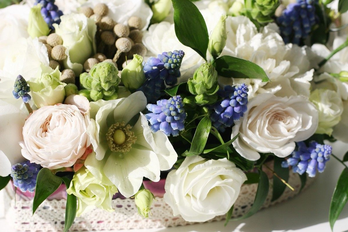 Здесь можно узнать что проходят в школе флористов Здесь можно узнать что проходят в школе флористов