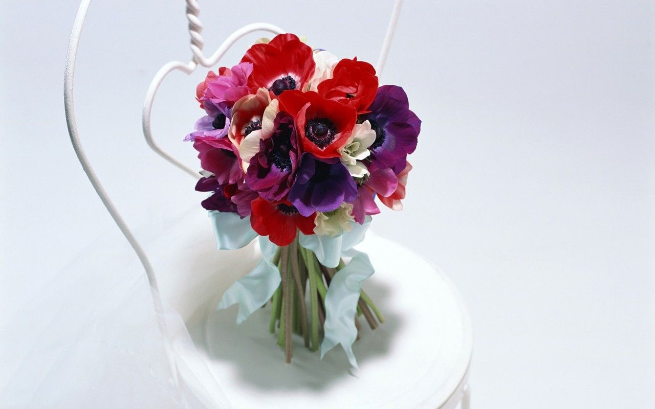 Желаете окончить школу флористики? Узнайте о подводных камнях. Желаете окончить школу флористики? Узнайте о подводных камнях.