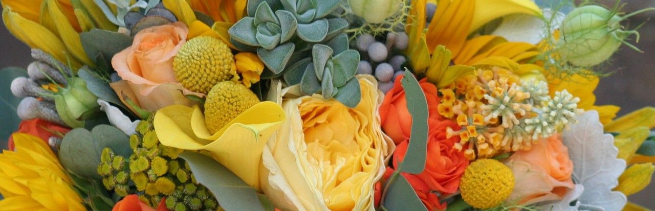 Знакомимся с перечнем престижных учебных комбинатов по флористике Знакомимся с перечнем престижных учебных комбинатов по флористике